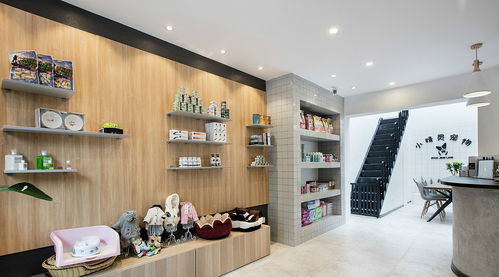 成都專業寵物店設計裝修指南 六安裝飾助您打造理想空間