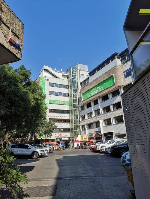 鵝嶺公園與鵝嶺二廠對比 賞景傳承，新舊碰撞中的門票代理策略思考