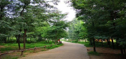 鹿島森林公園門票預訂與代理指南