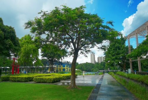 廣東中山 一座由舊廠房蝶變的獲獎公園，如何用創意點亮城市記憶？