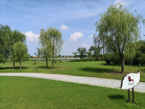 北湖濕地公園門票,北湖濕地公園游玩攻略 360地圖